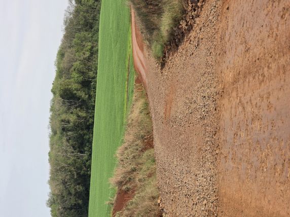 Independência reforça manutenção das estradas do interior - foto 2