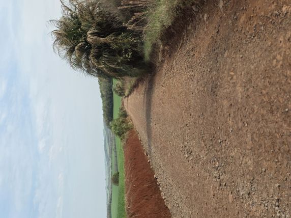 Independência reforça manutenção das estradas do interior - foto 3