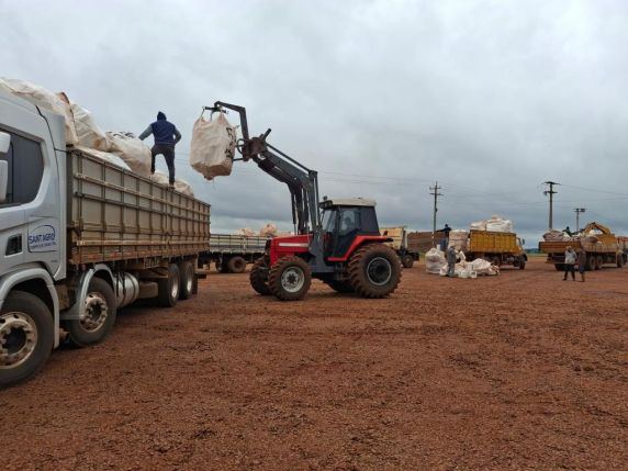 MPRS participa do recolhimento de 23 mil embalagens de defensivos agrícolas em Eugênio de Castro - foto 2