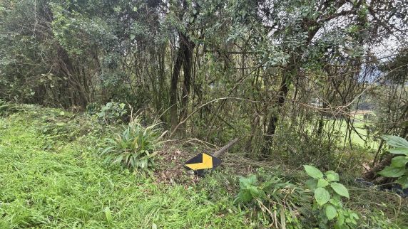 Jovem de 24 anos morreu no local; passageira, de 22, foi localizada desorientada na rodovia na manhã desta segunda-feira