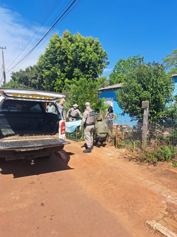Suçuarana é resgatada após entrar em garagem de residência em Inhacorá - foto 3