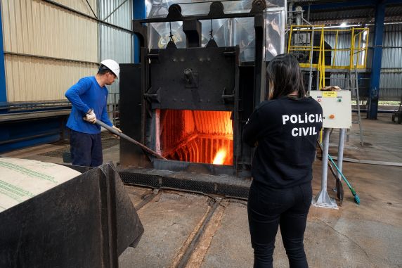Entorpecentes foram recolhidos em operações realizadas no primeiro semestre de 2026 e, segundo as forças de segurança, poderiam resultar em cerca de 485 mil porções para comercialização