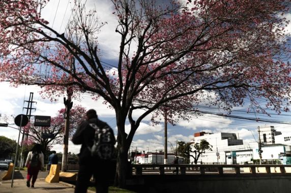 Terça-feira terá frio, chance de geada e pouca chuva no RS; veja as regiões afetadas