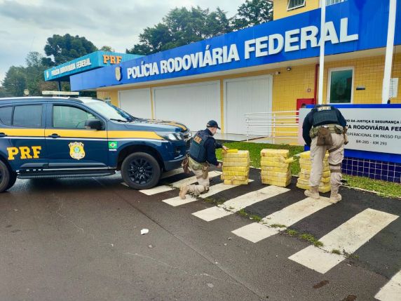 Droga era transportada em um Polo, enquanto um Logan teria atuado como batedor; suspeita é de que a carga seguia do Paraná para a Região Metropolitana de Porto Alegre