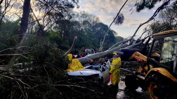 Árvore de grande porte cai sobre Saveiro e deixa duas pessoas feridas na ERS-324, em Pontão - foto 3