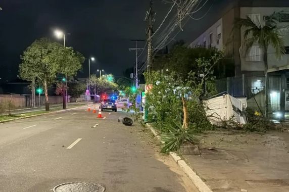 Carro capota, bate em árvore, contêineres de lixo e poste na Avenida Praia de Belas - foto 2