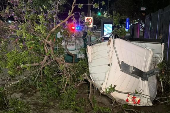 Carro capota, bate em árvore, contêineres de lixo e poste na Avenida Praia de Belas - foto 3