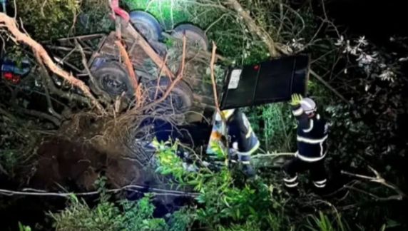 Animal ficou preso às ferragens após veículo e reboque capotarem em um barranco. Operação de resgate exigiu o uso de cordas, equipamentos de corte e guinchos.