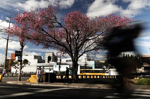 À tarde, termômetros podem chegar a 26ºC, com chance de geada pontual na Serra