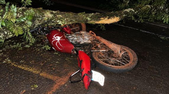 Acidente ocorreu na madrugada desta sexta-feira (23), no km 86 da rodovia. Vítimas foram encaminhadas ao Hospital de Caridade de Ijuí com suspeita de fraturas.