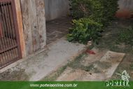 Foto da notícia