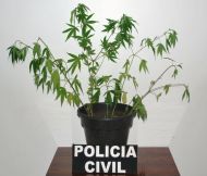 Foto da notícia