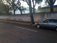 Foto da notícia