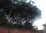 Foto da notícia