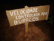 Foto da notícia
