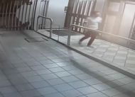 Foto da notícia