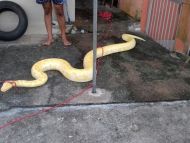 Foto da notícia