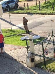 Foto da notícia