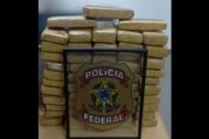 Foto da notícia