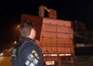 Foto da notícia