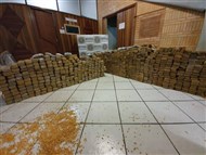 Foto da notícia