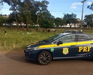 Foto da notícia