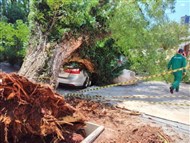 Foto da notícia