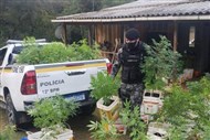 Foto da notícia