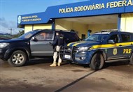 Foto da notícia