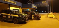 Foto da notícia