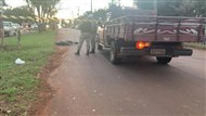 Foto da notícia