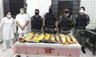 Foto da notícia