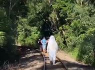 Foto da notícia