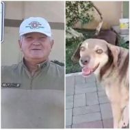 Foto da notícia