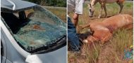 Foto da notícia