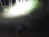 Foto da notícia