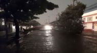 Foto da notícia