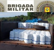 Foto da notícia