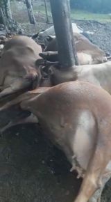 Foto da notícia