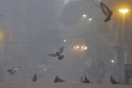 Foto da notícia