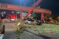 Foto da notícia