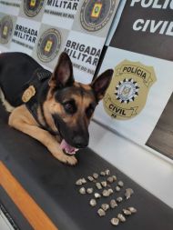 Foto da notícia