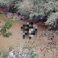 Foto da notícia