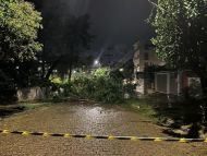 Foto da notícia
