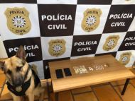 Foto da notícia