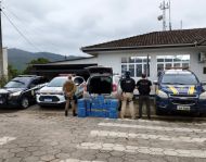 Foto da notícia