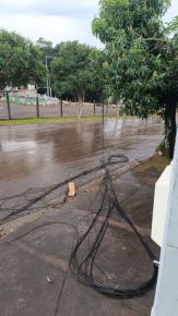 Foto da notícia