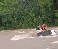 Foto da notícia