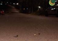 Foto da notícia