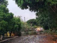 Foto da notícia